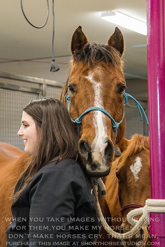 Country View Equine Clinic: February 2018