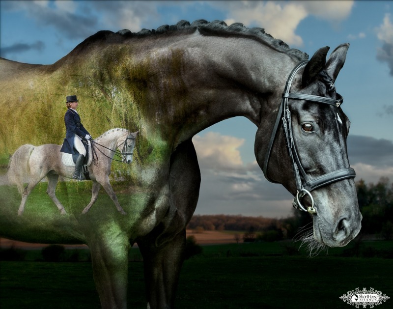 Vic & Blix Signature Image