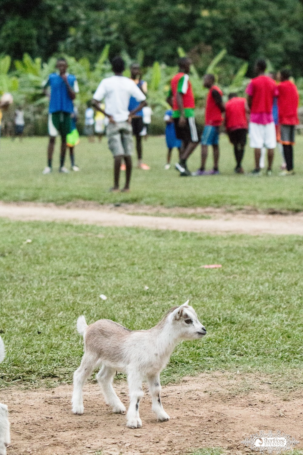 Haiti Images: Sneak Peek #6 | 030316-3291-Limbe.jpg