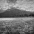 Haiti Images: Sneak Peek #6 | 030316-3169-Limbe.jpg