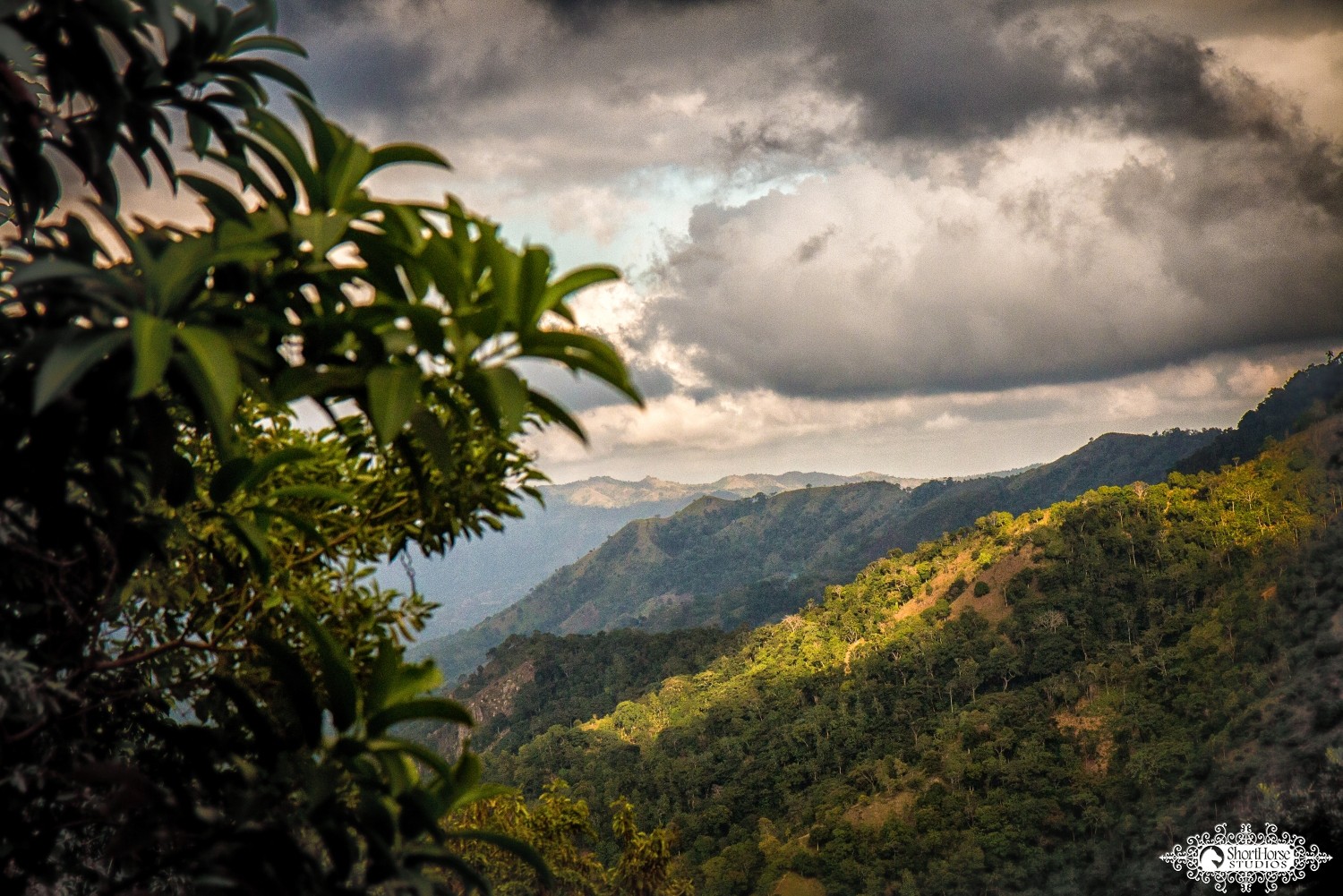 022516-0015-Milot.jpg