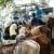 Haiti Images: Sneak Peek #2 | 022616-0272-Milot.jpg