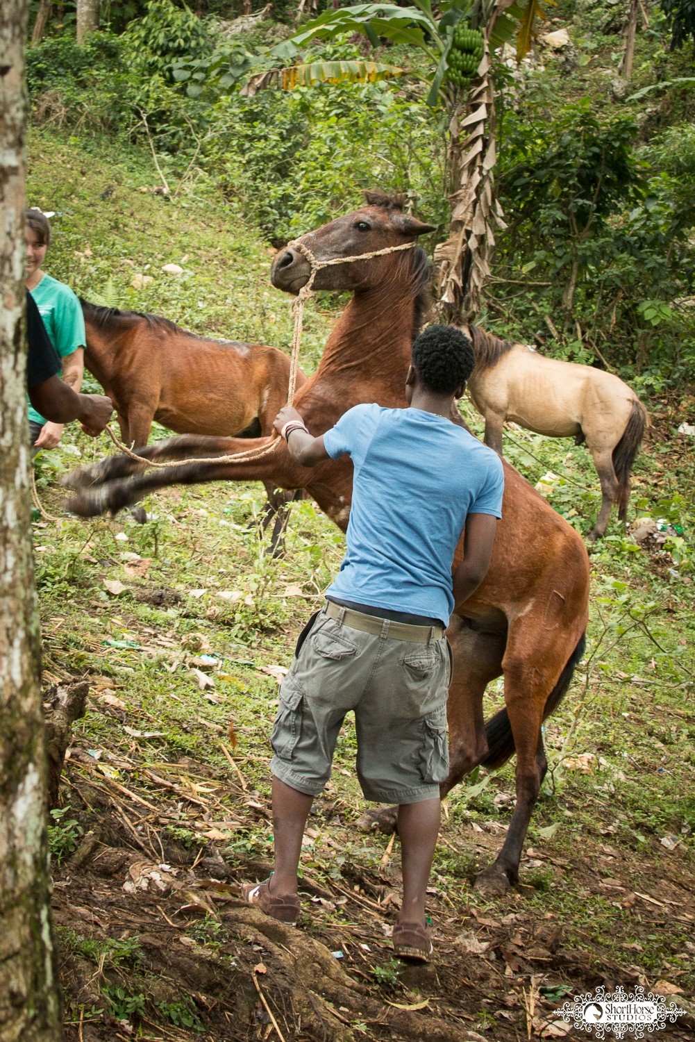 Haiti Images: Sneak Peek #5 | 022616-0881-Milot.jpg