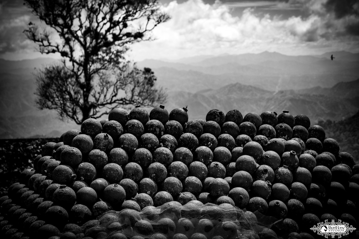 Haiti Images: Sneak Peek #4 | 022916-2030-Milot.jpg