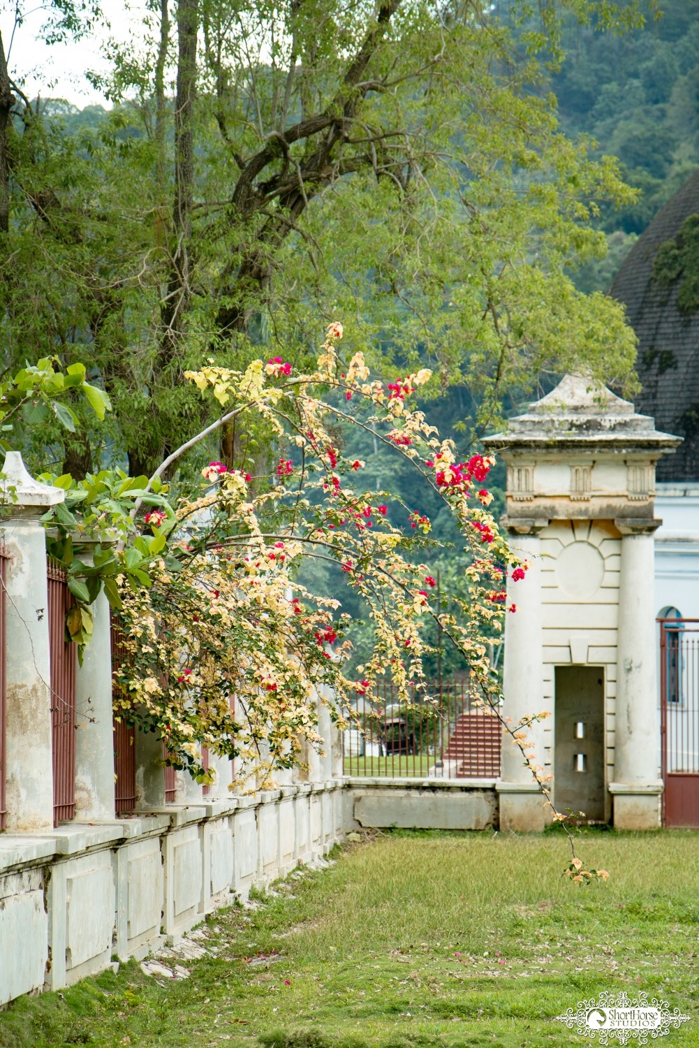 Haiti Images: Sneak Peek #4 | 030116-2658-Milot.jpg