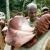 Haiti Images: Sneak Peek #5 | 030116-2687-Milot.jpg