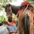Haiti Images: Sneak Peek #5 | 022916-2357-Milot.jpg