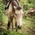 Haiti Images: Sneak Peek #5 | 022616-0825-Milot.jpg