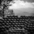 Haiti Images: Sneak Peek #4 | 022916-2030-Milot.jpg