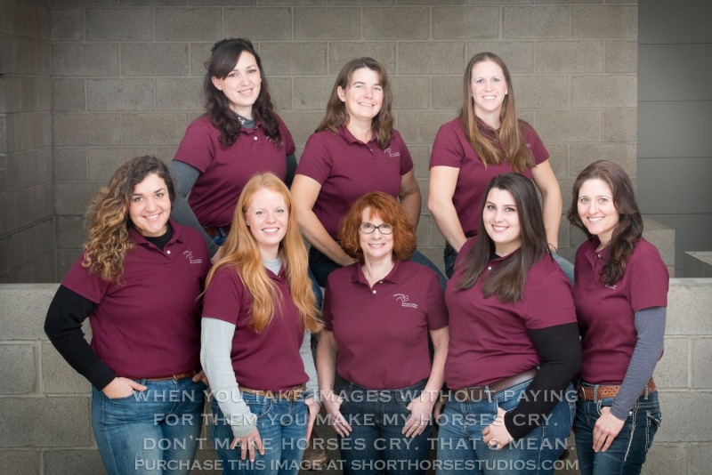 Country View Equine Clinic: January