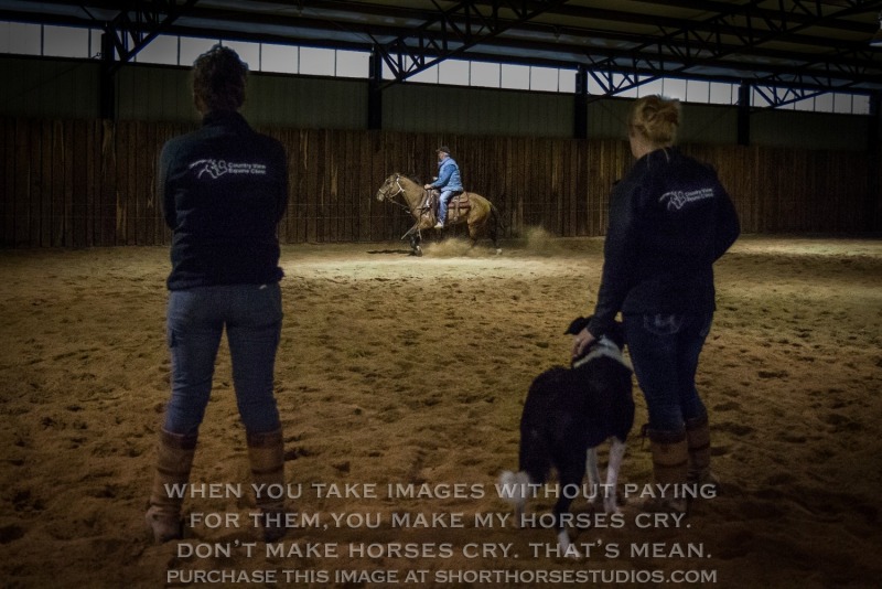 Country View Equine Clinic, October 2017