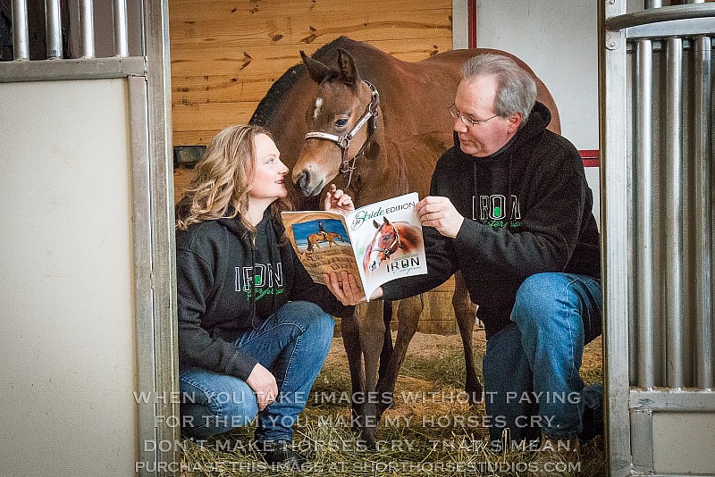 Moon Crest Quarter Horses, February 2018