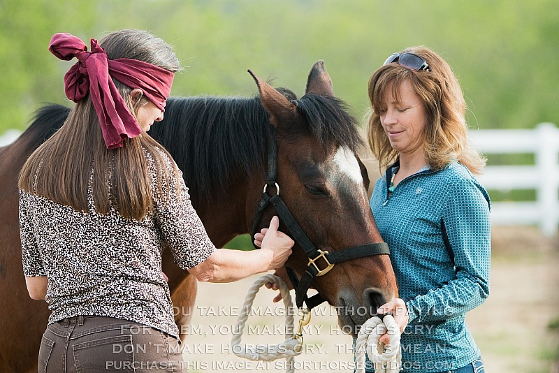 Natural Wisdom Counseling Demonstration, 05/18/18