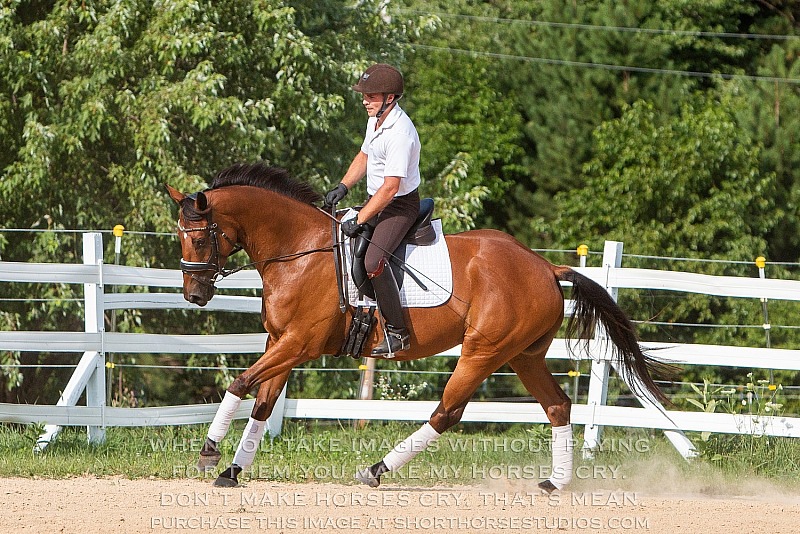 Ryan Stark Dressage, July 2018