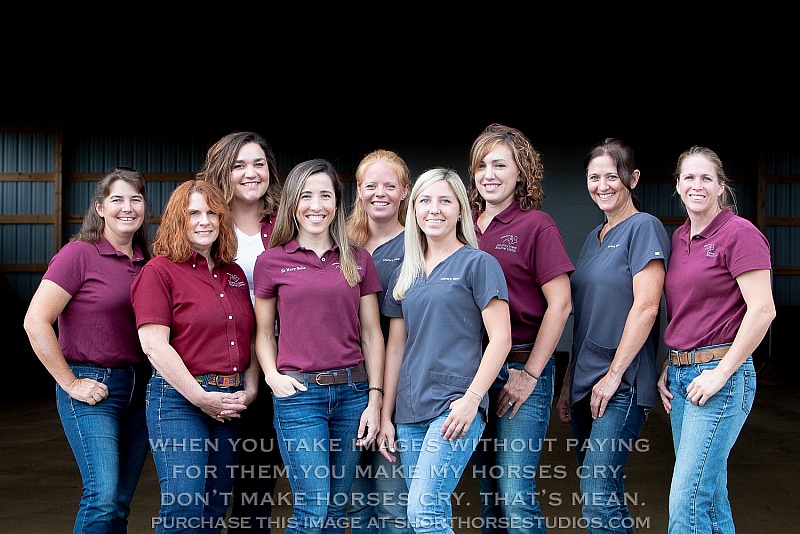 Country View Equine Clinic, Summer 2018