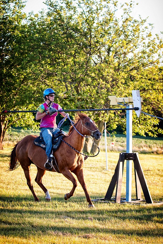 Impromptu Mounted Weapons Practice