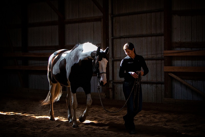 Reaching Strides Equine Rehabilitation, August 2022