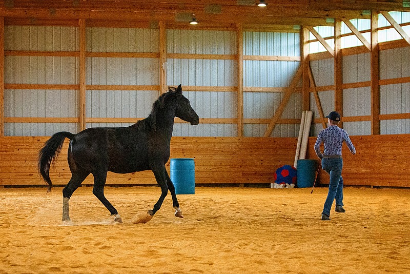 Michelle Knapp Clinic, September 3, 2022